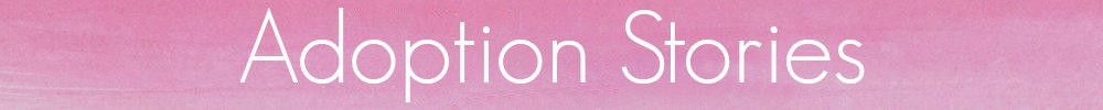 adoptionstoriespage-banner