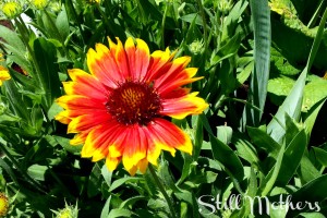 18 Things I’ve Learned