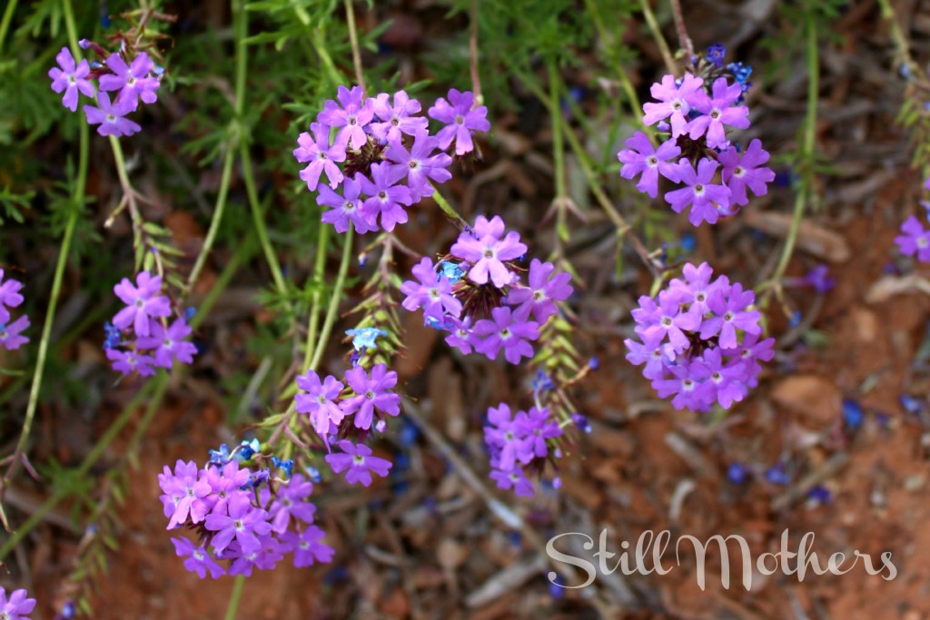 At Least You're Young