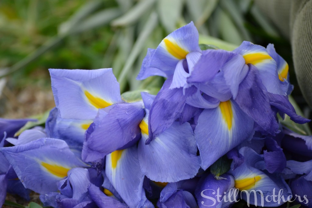 Before Everything Is Taken Again