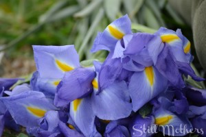 Before Everything Is Taken Again