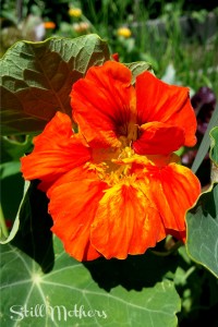 Dealing with Feelings of Jealousy