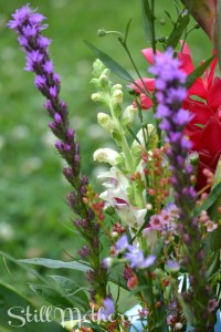 Erika-mothersdaypost1