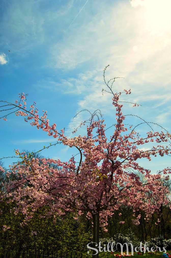 Heather-mothersdaypost