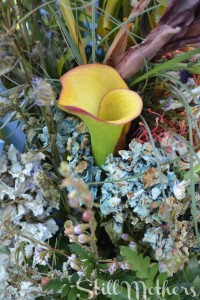 How Many Children Do You Have?