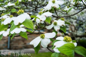 I Don’t Want Your Hope