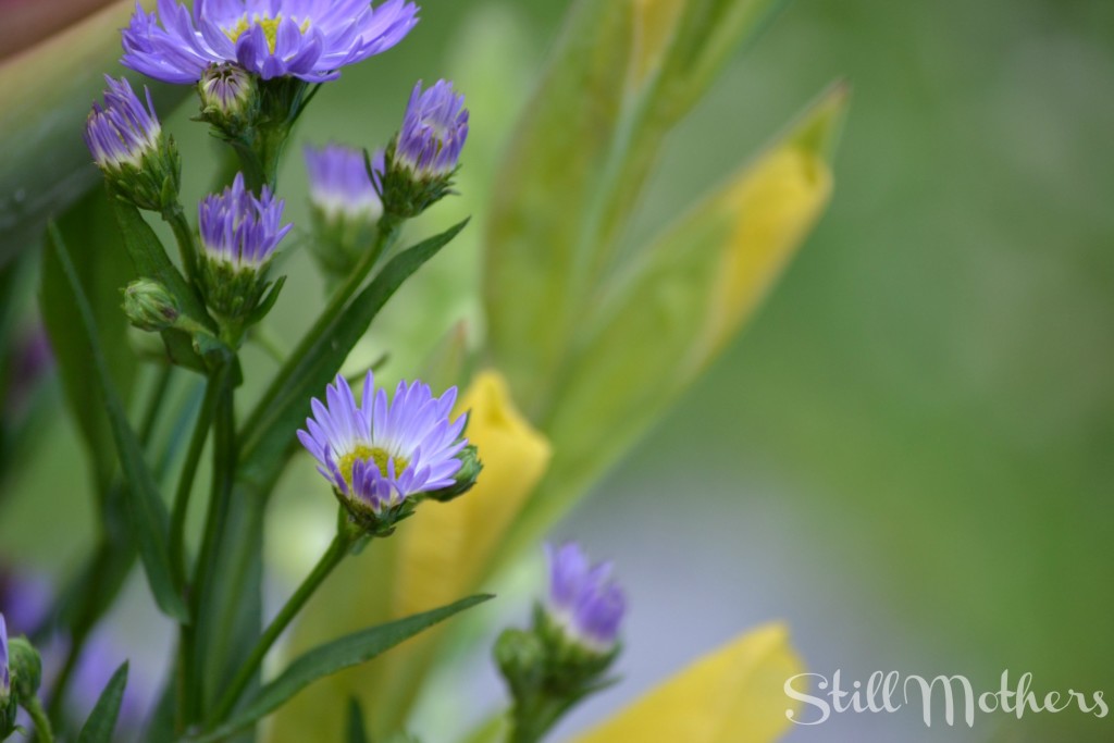 Jason-mothersdaypost