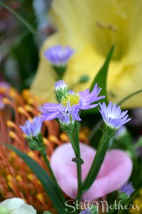 Learing to Live for Myself Again