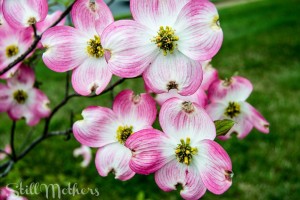 Letting Yourself Cry