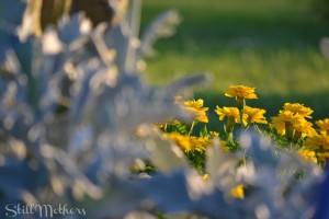 Living While Grieving - The Real Meaning of Moving On