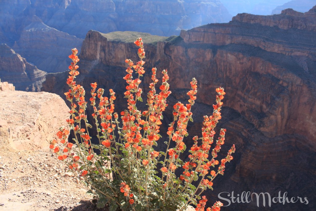 Maureen-mothersdaypost
