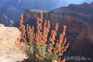 Maureen-mothersdaypost