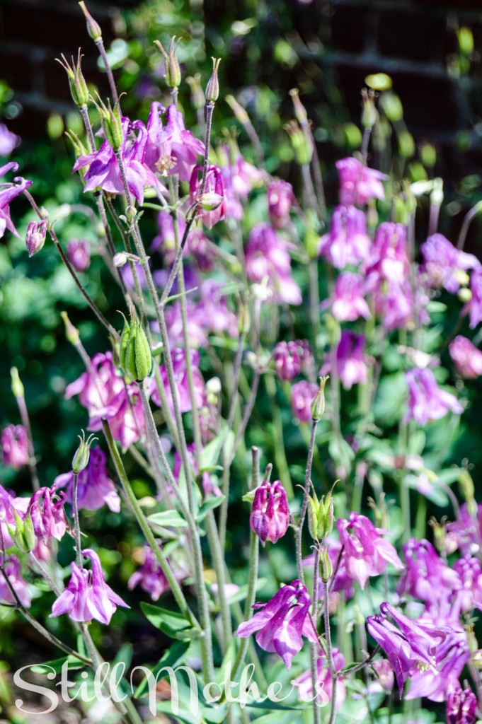 The Woman I Used To Be