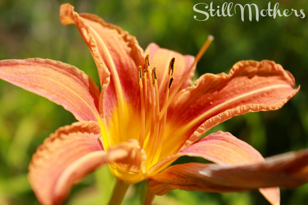 Through This Deepest Sorrow