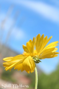 Trent-mothersdaypost