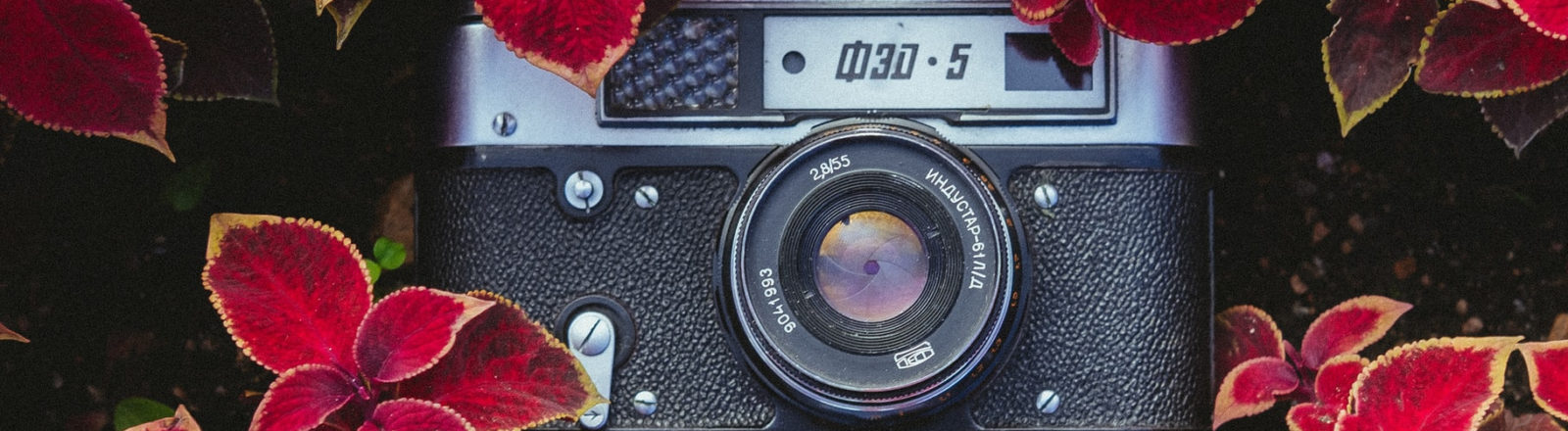 The Importance Of Pictures