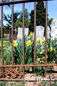 jamie-mothersdaypost