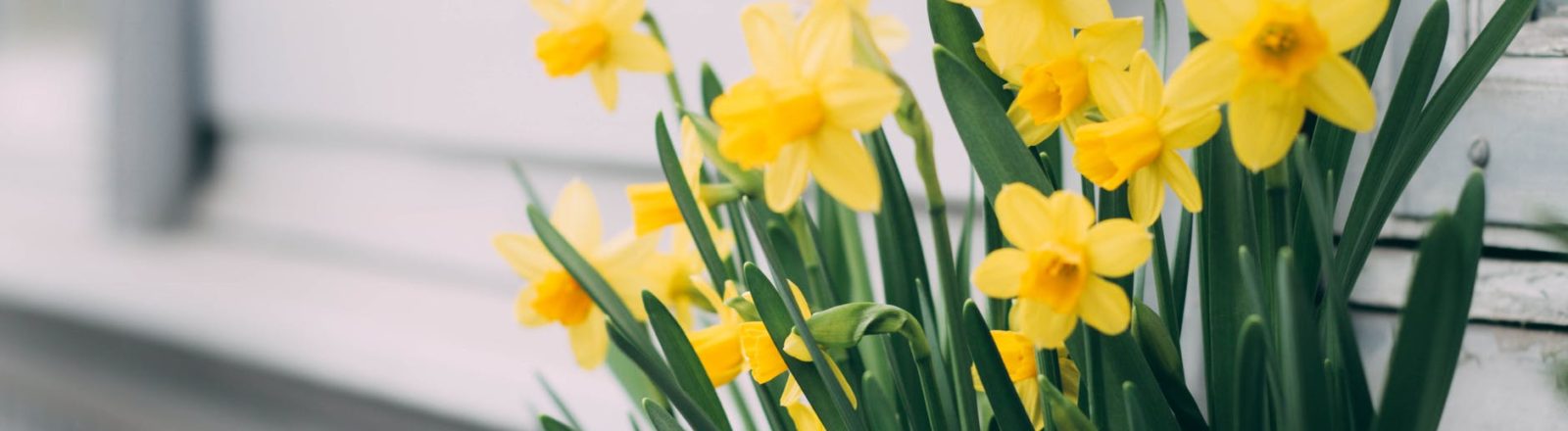 Infertility vs Cancer