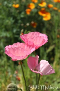 raeanne-mothersdaypost