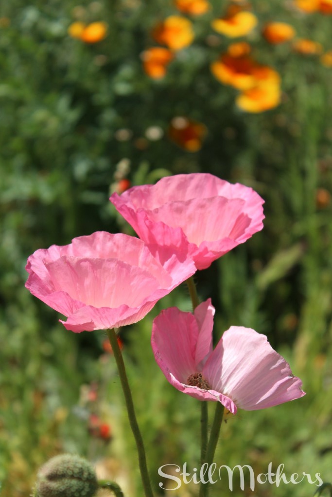 raeanne-mothersdaypost